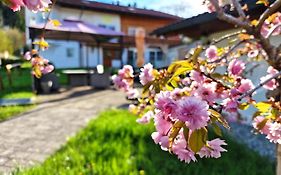 Ferienwohnung Echelsbach - Ferienwohnungen Christoph Lechner Am Zeitberg